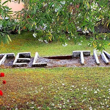 Tina 2*